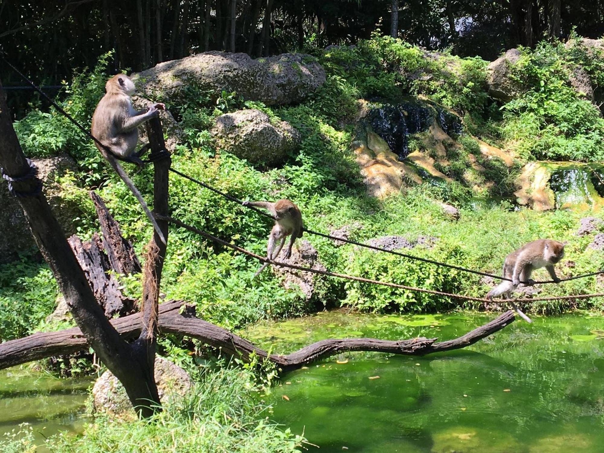 迈阿密Magical Wonderkoi House In A Japanese Koi Garden别墅 外观 照片